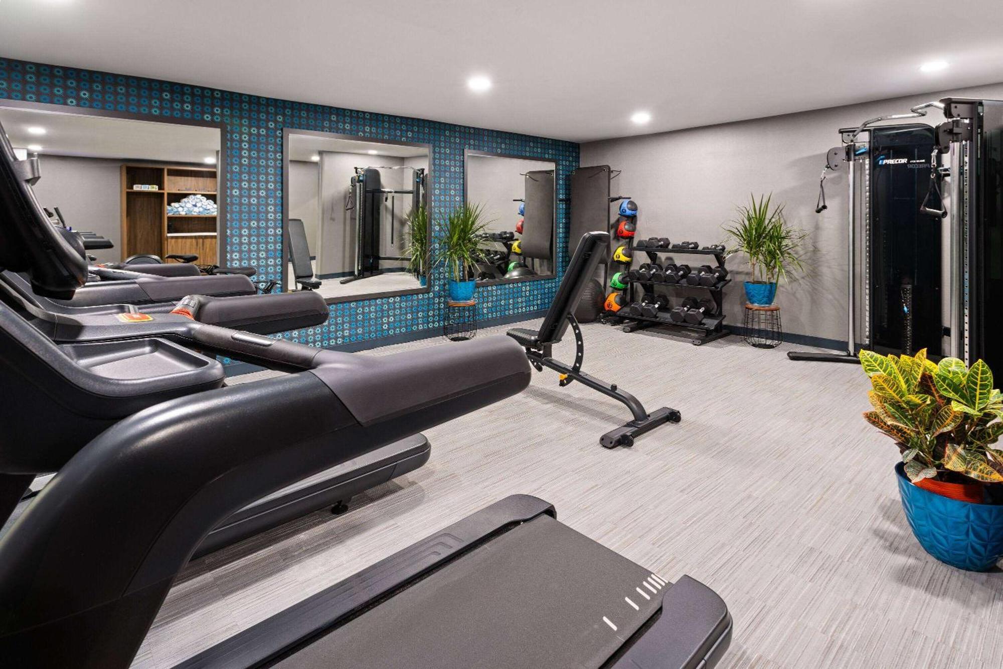 La Quinta Inn & Suites By Wyndham Memphis I-240 Dış mekan fotoğraf